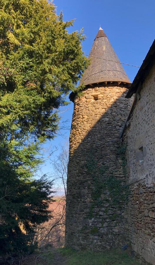 Chateau De Montautre Fromental Eksteriør billede